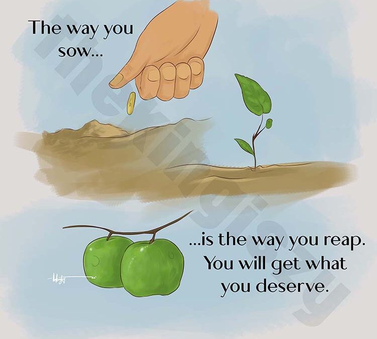 Wise words